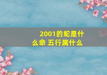 2001的蛇是什么命 五行属什么